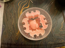 Load image into Gallery viewer, POP TARTS (Wax Tart/Melt)
